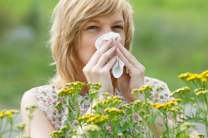 Аллергия на весну. Это может произойти с половиной из нас