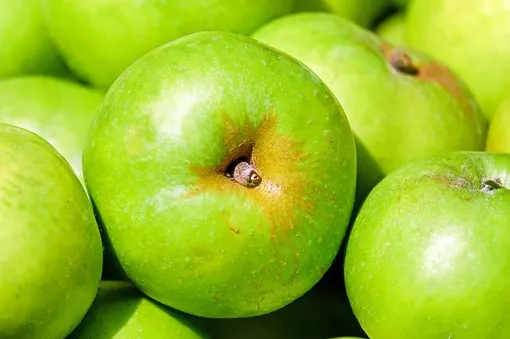 Достаточно съедать 2-3 яблока в день, чтобы прощаться с лишними килограммами естественным образом.