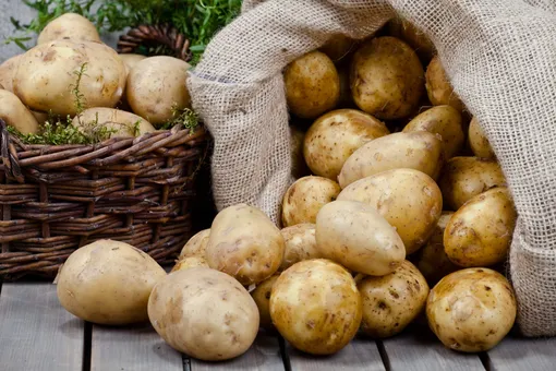 Как правильно хранить картофель в квартирных условиях