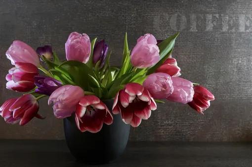 тюльпаны, тюльпаны в вазе, весенние цветы, букет тюльпанов