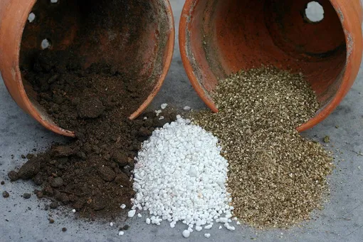 Как приготовить грунт для рассады с агроперлитом и вермикулитом