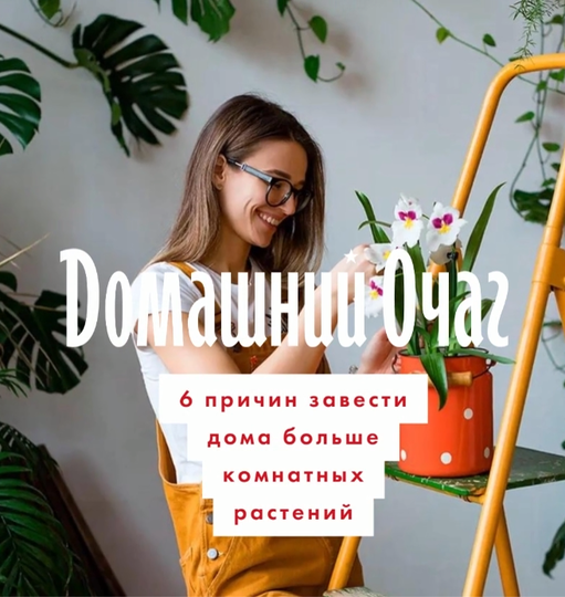 Нажми и смотри