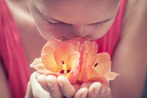 Коронавирус и еще 7 причин, из-за которых вы не чувствуете запахов