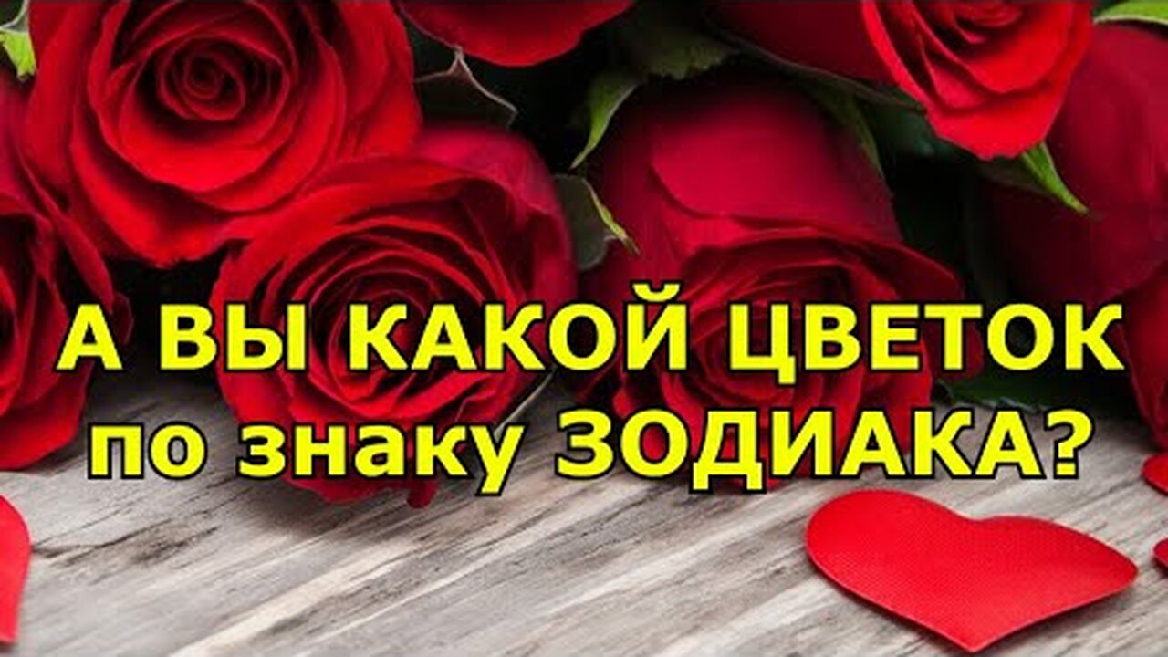 Klikněte a uvidíte