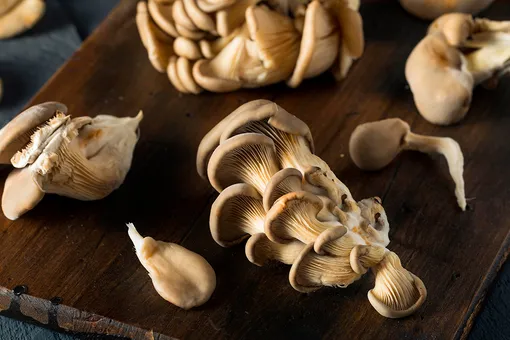 Вешенки: несколько аппетитных и бюджетных блюд с этими грибами