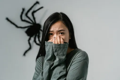 девушка боится паука