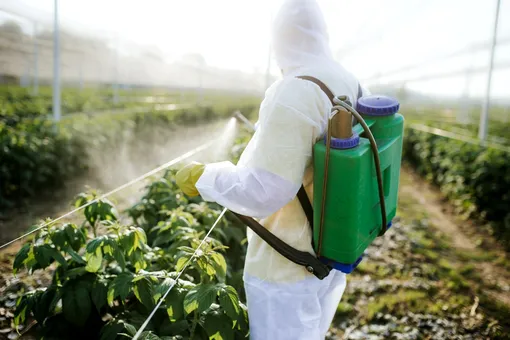 Коварные помощники садовода: всё о пестицидах