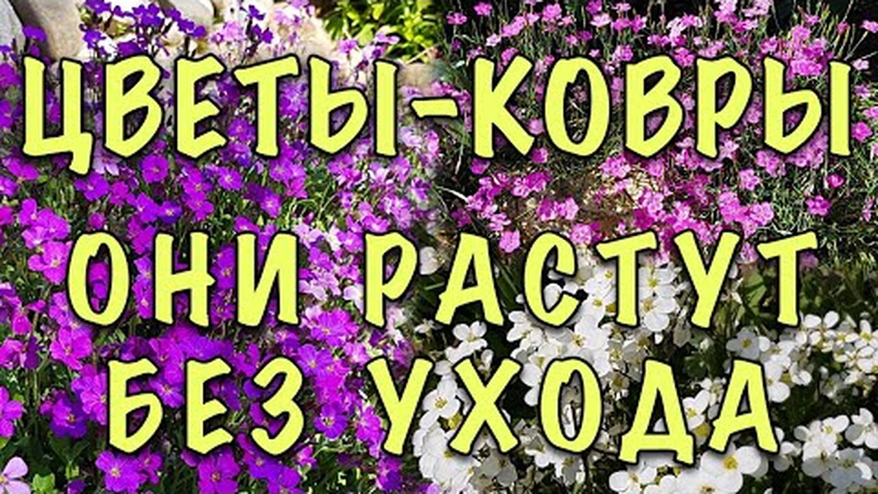 Klikněte a uvidíte