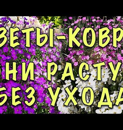 Klikněte a uvidíte