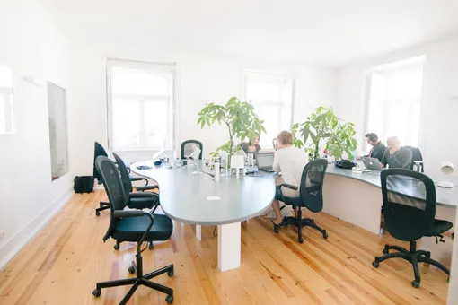 Исследования показали, что простое добавление зелени в виде комнатных растений может оказать значительное положительное влияние на сотрудников офиса