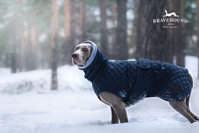 Теплая зимняя куртка Bravehound