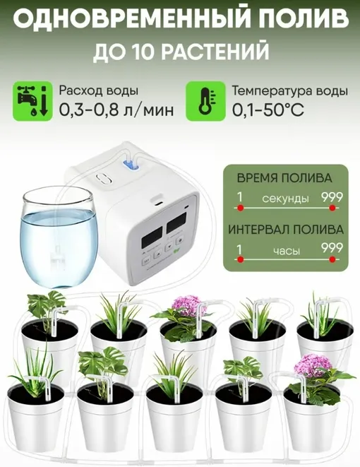 Лучшие системы полива для комнатных растений
