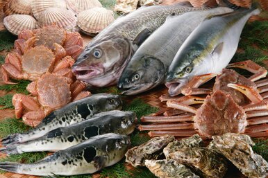 Рыба фугу, скорпена, гриб-навозник, лепешки из маниоки: стоит ли это пробовать и как, чтобы не отравиться
