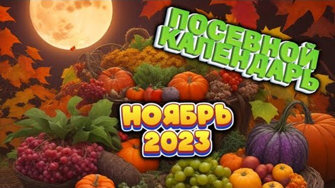 Нажми и смотри