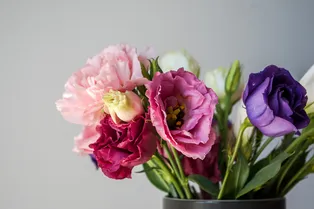 Как собрать роскошный букет с пионами — показывает флорист