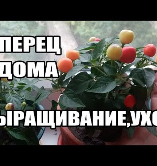 Klikněte a uvidíte