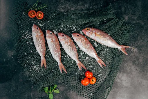 Жирная рыба — Как лечить воспаление лёгких, как восстановиться после пневмонии: полезные продукты
