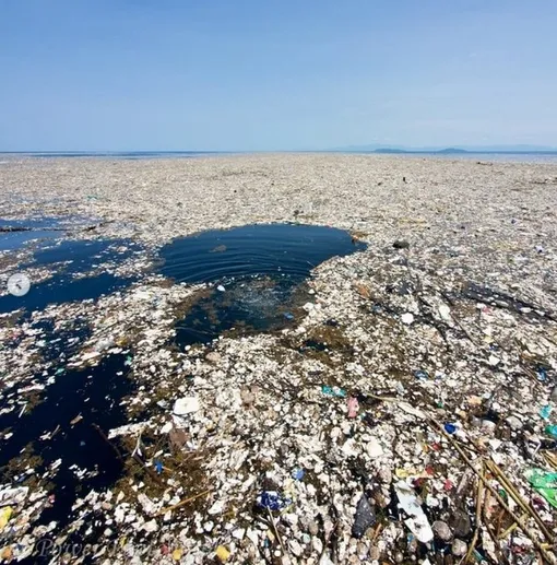 мусорные острова фото