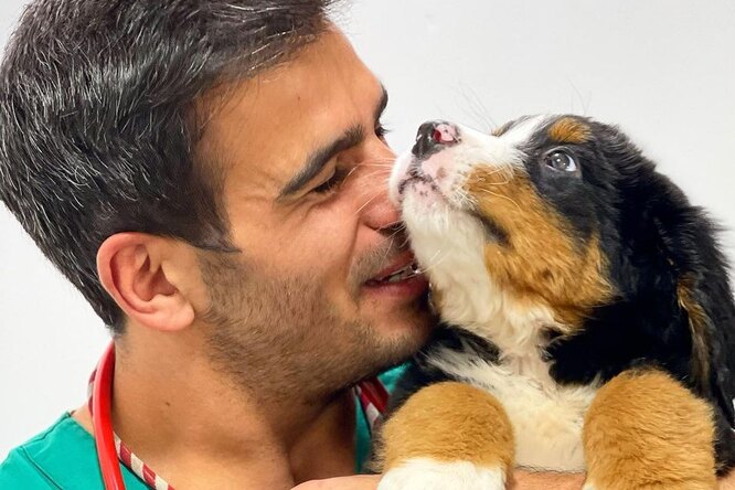 Лучший друг зверей: ветеринар трогательно веселит собак, которые боятся больницы