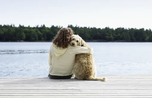 Собака обнимается с человеком на пирсе у реки фото