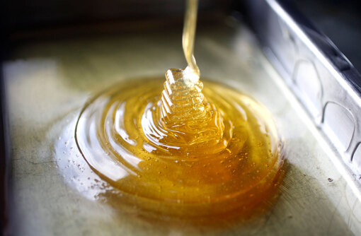 Специалисты рассказали как оценить качество меда в домашних условиях