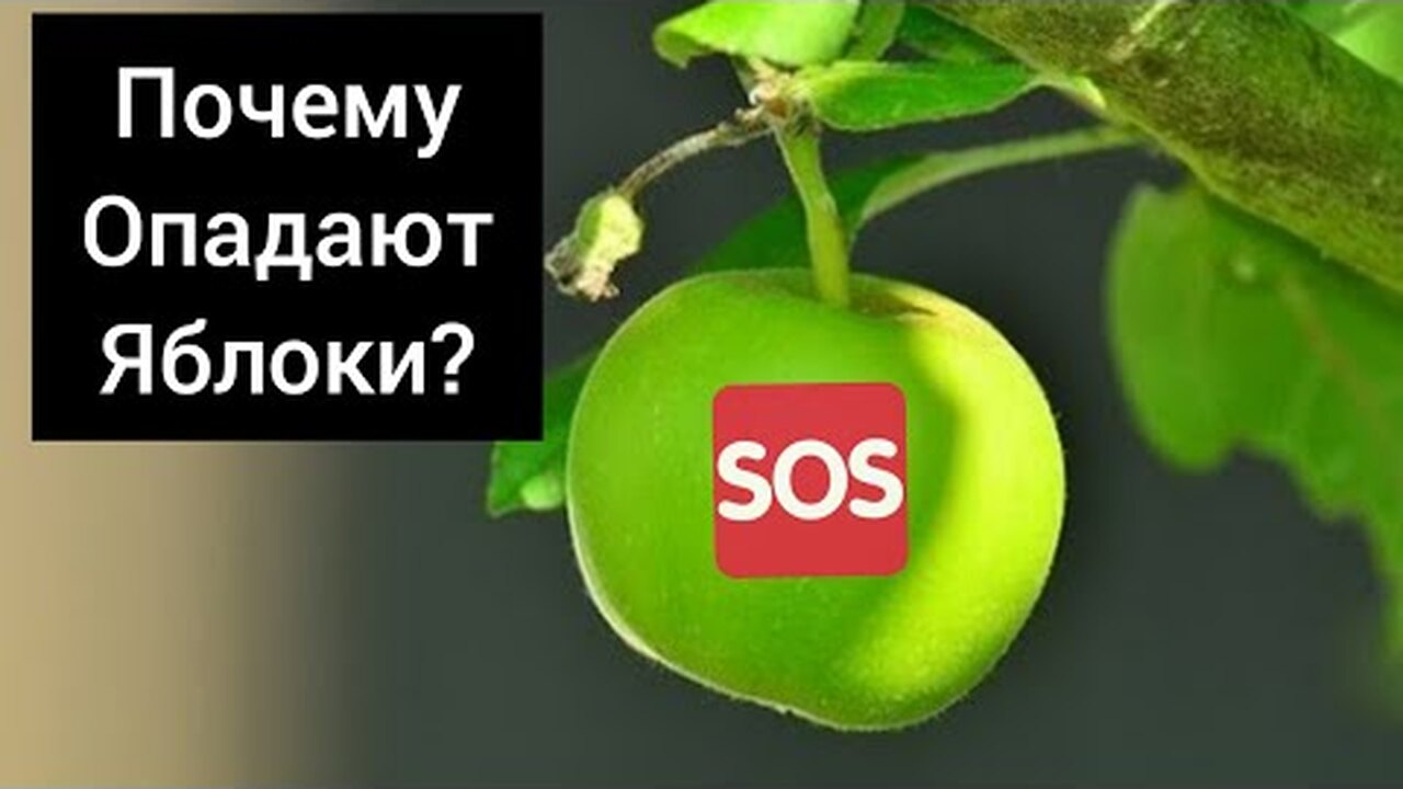Klikněte a uvidíte