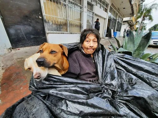 бездомная женщина и шесть собак
