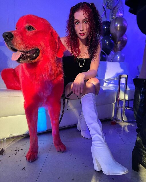 Как хозяйка пиренейской собаки покрасила ее в ярко-красный цвет