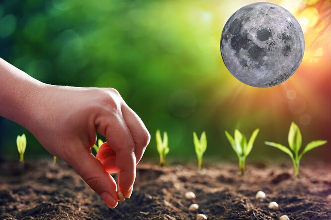 Lunární secí kalendář pro zahradníka a zahradníka na týden od 3. dubna do 9. dubna 2023