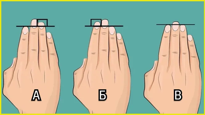 Выберите форму руки, которая соответствует вашей