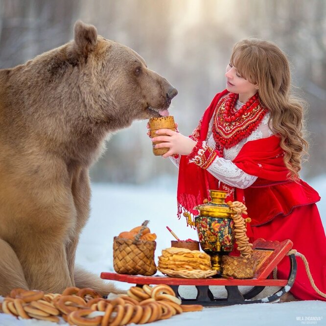 Медведь степан, мила жданова, фотосграфии с медведм, ручной медведь, сказочная фотосессия, русская клюква