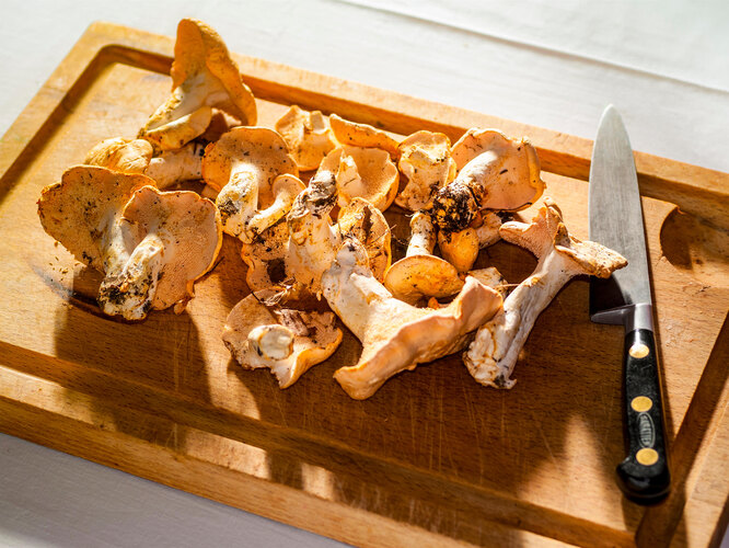 как приготовить грибы лисички салат лисичка с грибами