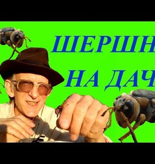 Нажми и смотри