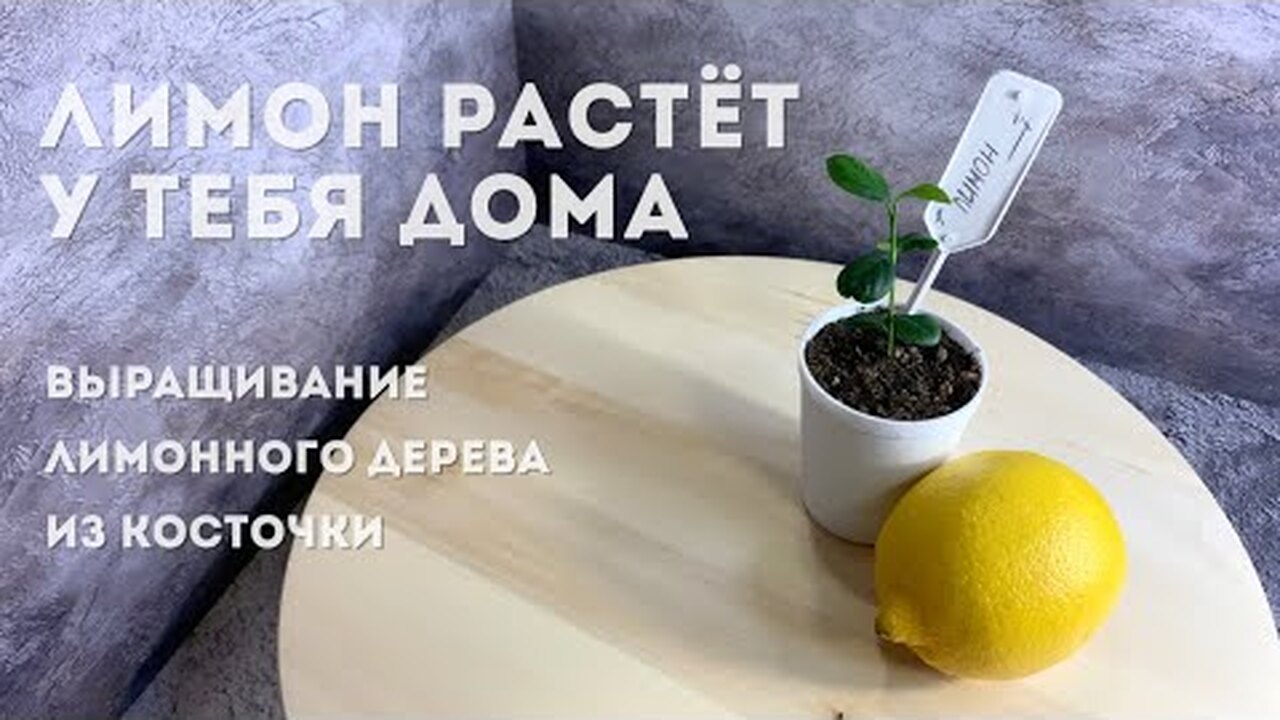 Klikněte a uvidíte