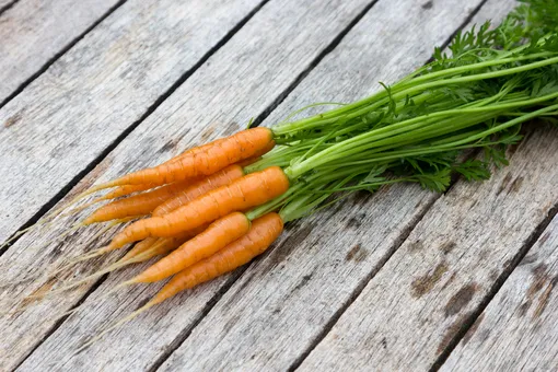 Почему морковь выросла мелкая и куда её девать