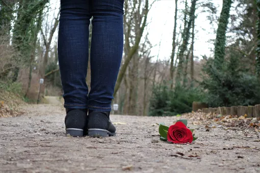 женские ноги на дорожке, у ног лежит красная роза