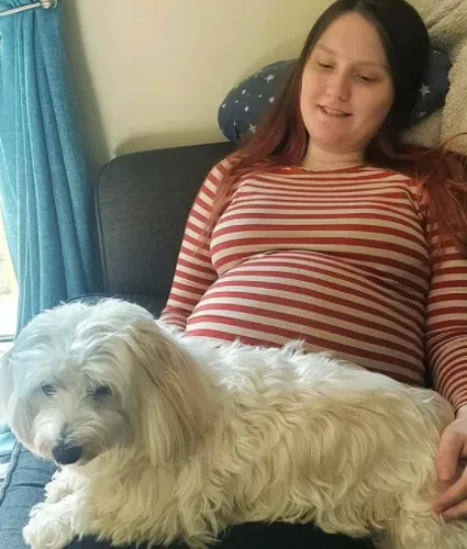 собака и беременная