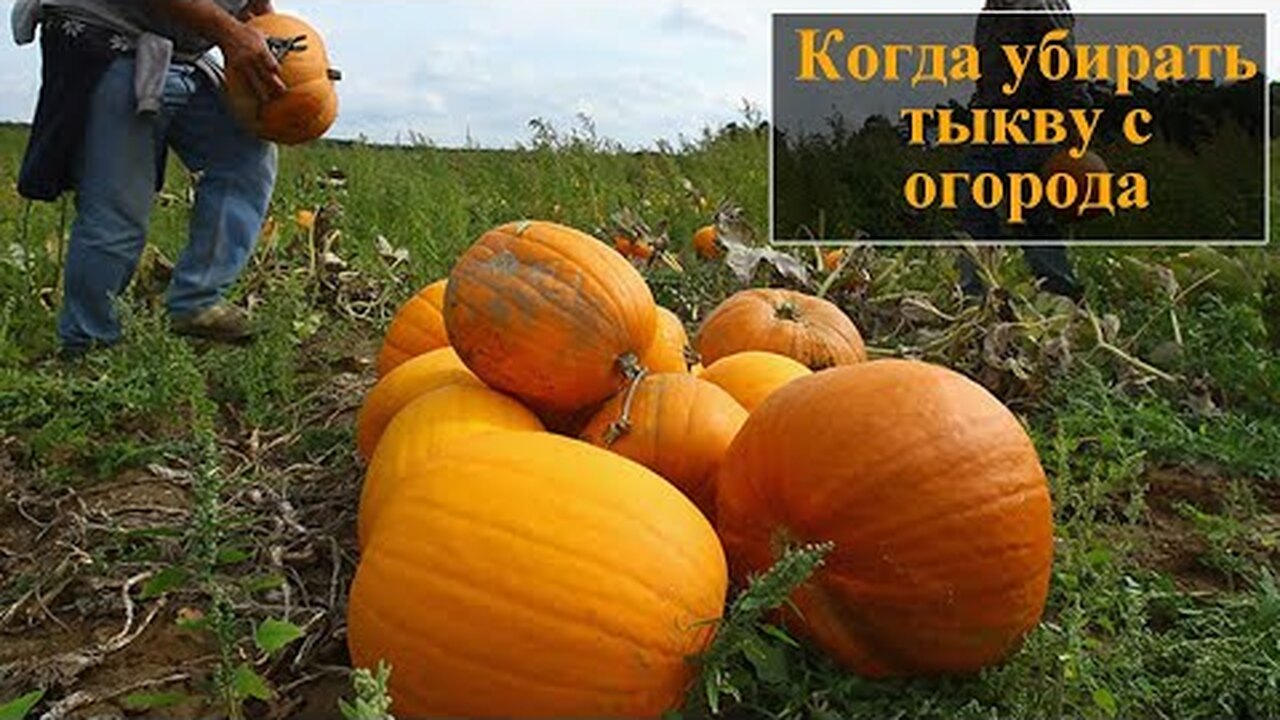Klikněte a uvidíte