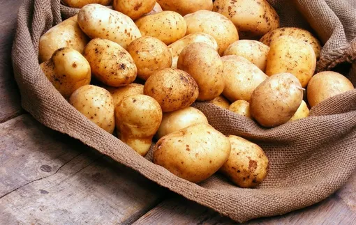 Признаки появления парши картофеля