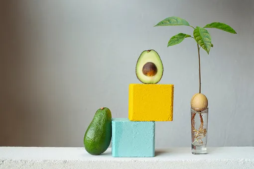 Авокадо, манго и лимон: как вырастить из косточки?