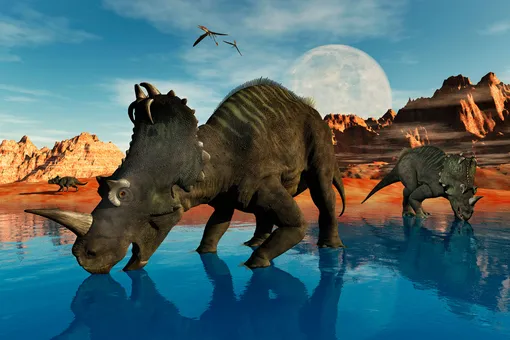 Не может быть! 76 миллионов лет назад динозавры страдали от человеческих болезней