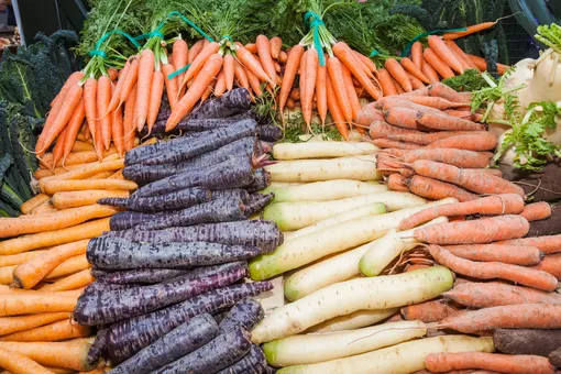 При выборе семян моркови смотрите на сроки её созревания и характеристики сорта.
