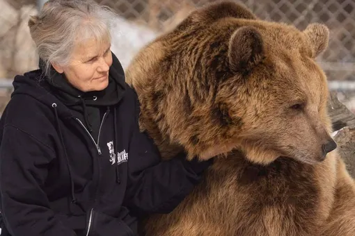 Осиротевшая медведица трогательно встречает приемную «маму». И даже мурлыкает!
