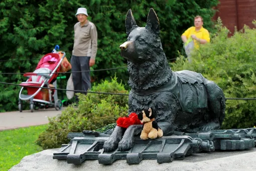 Необычные достопримечательности Москвы: 7 памятников собакам