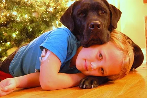 Верный пес каждый день спасает жизнь маленькому хозяину