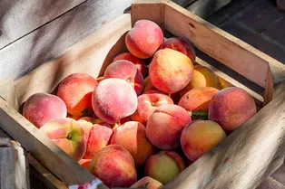Персики: сезонный продукт для здоровья и хорошего настроения