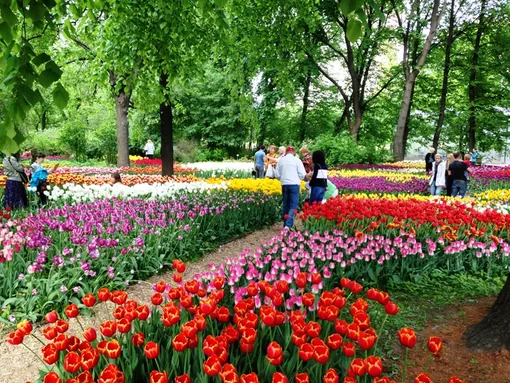 Весенний фестиваль цветов