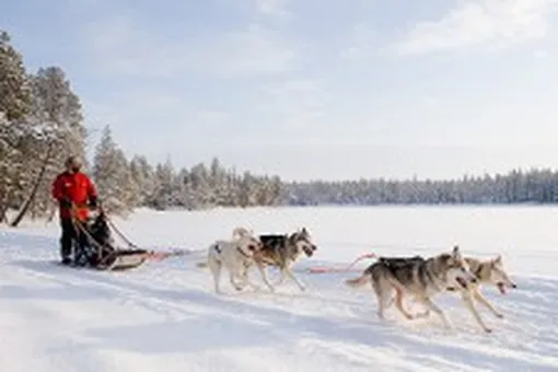 Пять зимних приключений в Финляндии