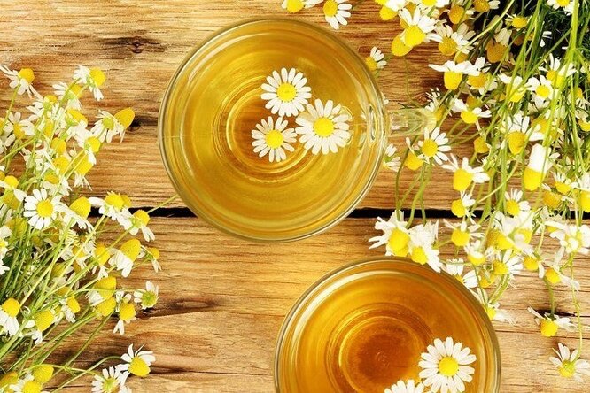 Чай из ромашки снизит уровень глюкозы и даже предотвратит развитие диабета Чай из ромашки снизит уровень глюкозы и даже предотвратит развитие диабета