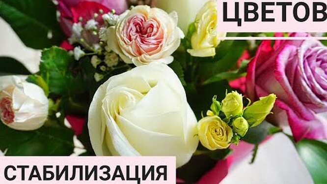 Нажми и смотри